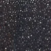 Top corto a maniche lunghe con decorazioni Lumina in nero Top corto a maniche lunghe con decorazioni Lumina in nero
