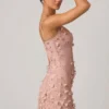 Vestito corto Briar con applicazioni ricamate in rosa antico Vestito corto Briar con applicazioni ricamate in rosa antico